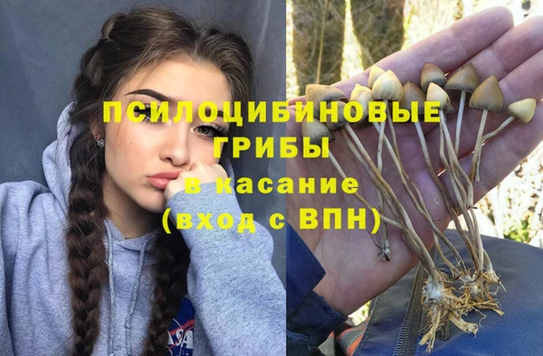 герыч Бронницы